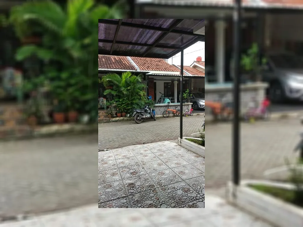 WhatsApp Image 2023-02-03 at 15.44.02.jpeg